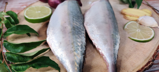 Indian Mackerel / Ayala